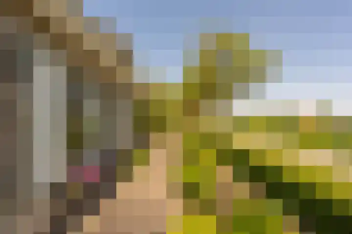 Westdijk 97 Mijnsheerenland thumbnail 41