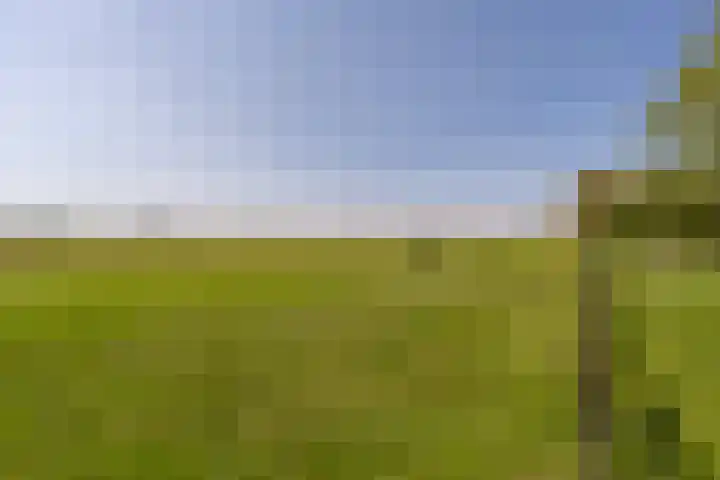 Westdijk 97 Mijnsheerenland thumbnail 42