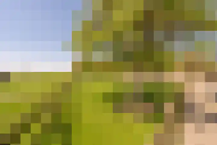 Westdijk 97 Mijnsheerenland thumbnail 43