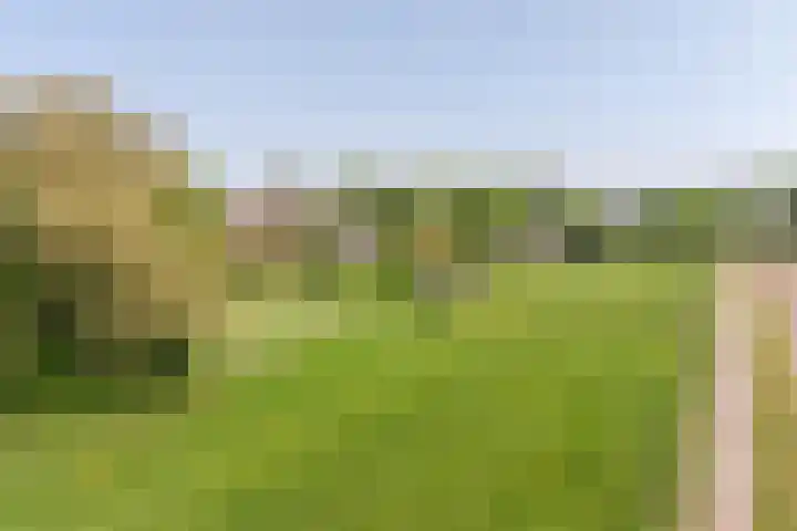 Westdijk 97 Mijnsheerenland thumbnail 46