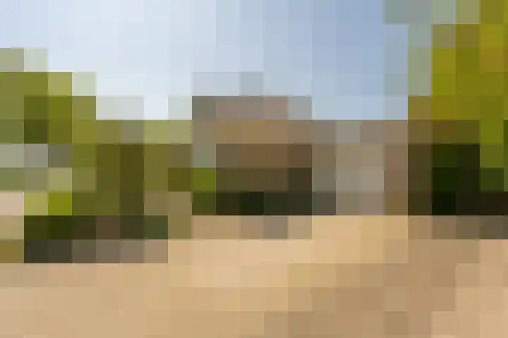 Westdijk 97 Mijnsheerenland thumbnail 5