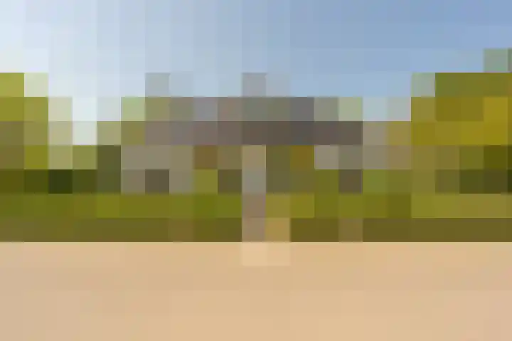 Westdijk 97 Mijnsheerenland thumbnail 55