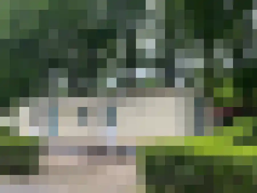 Westdorperstraat 29 Schoonloo thumbnail 10