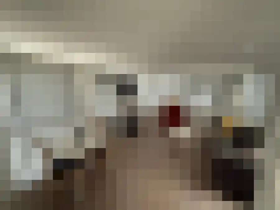 Westdorperstraat 29 Schoonloo thumbnail 11