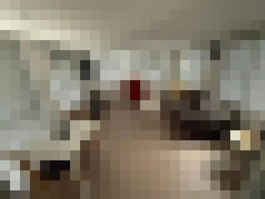 Westdorperstraat 29 Schoonloo thumbnail 12