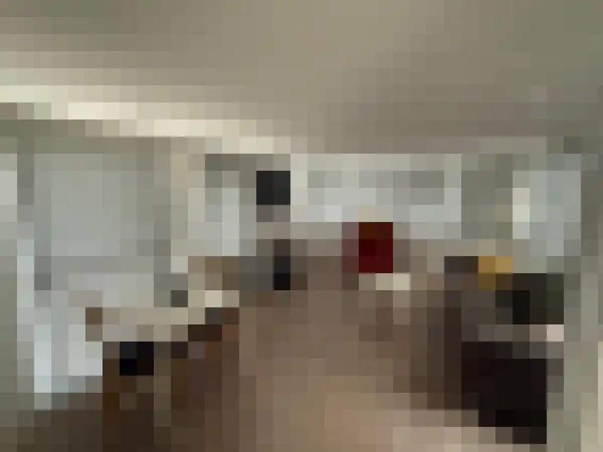 Westdorperstraat 29 Schoonloo thumbnail 5