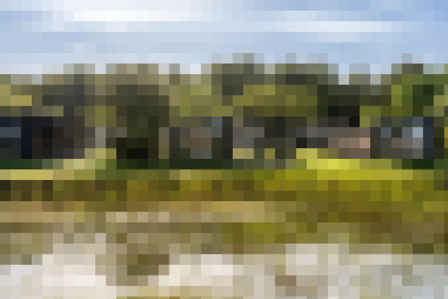 Westdorperstraat 37 22 Schoonloo foto 3
