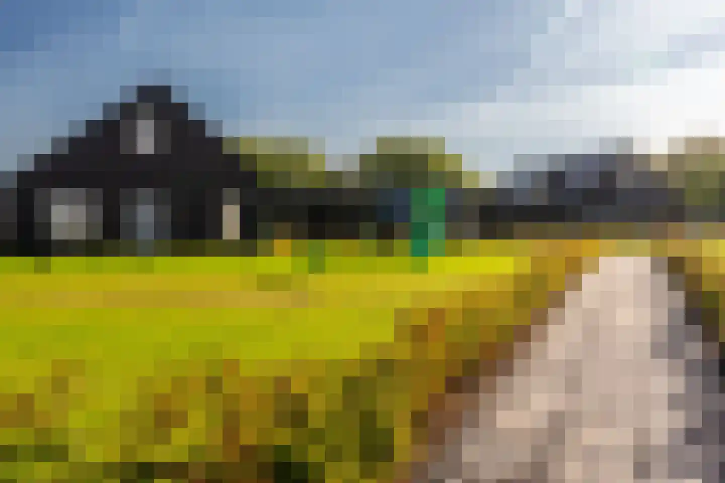 Westdorperstraat 37 22 Schoonloo thumbnail 33