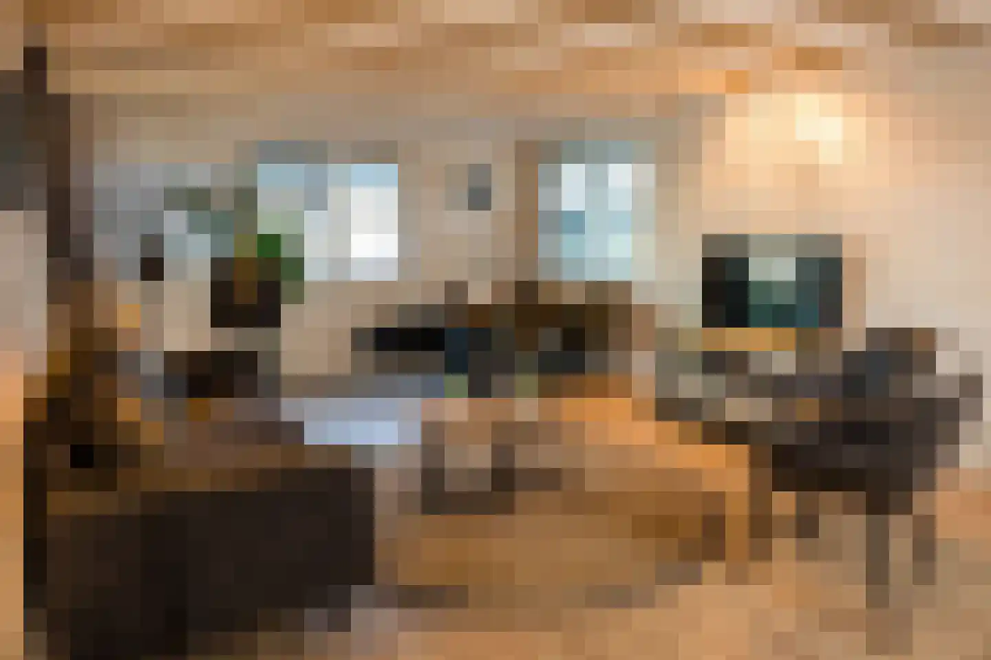 Westdorperstraat 37 301 Schoonloo thumbnail 16