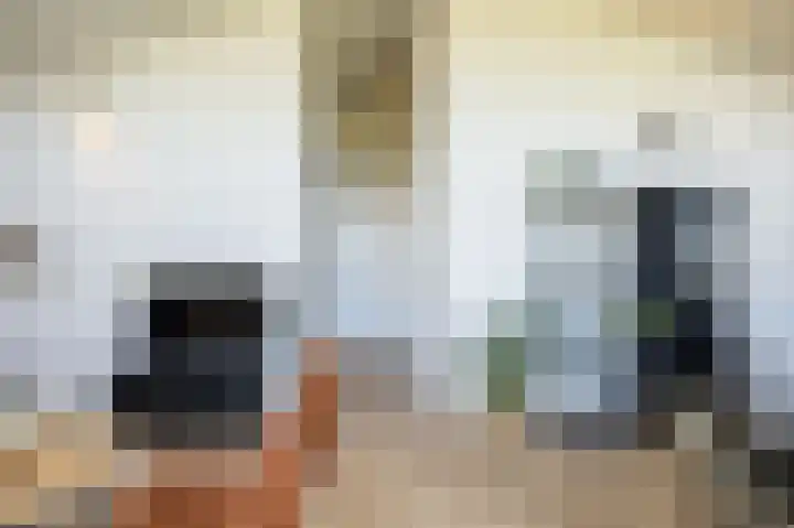 Westdorperstraat 37 Schoonloo thumbnail 14