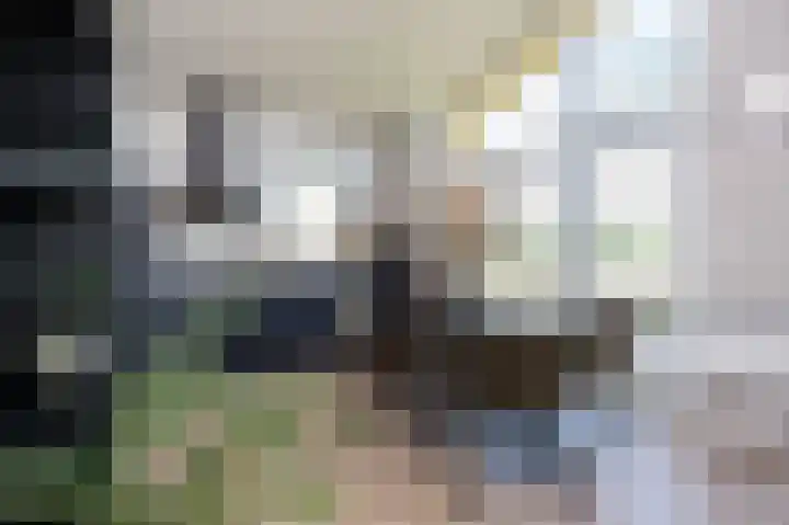 Westdorperstraat 37 Schoonloo thumbnail 15