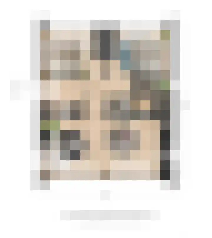 Westdorperstraat 37 Schoonloo thumbnail 39