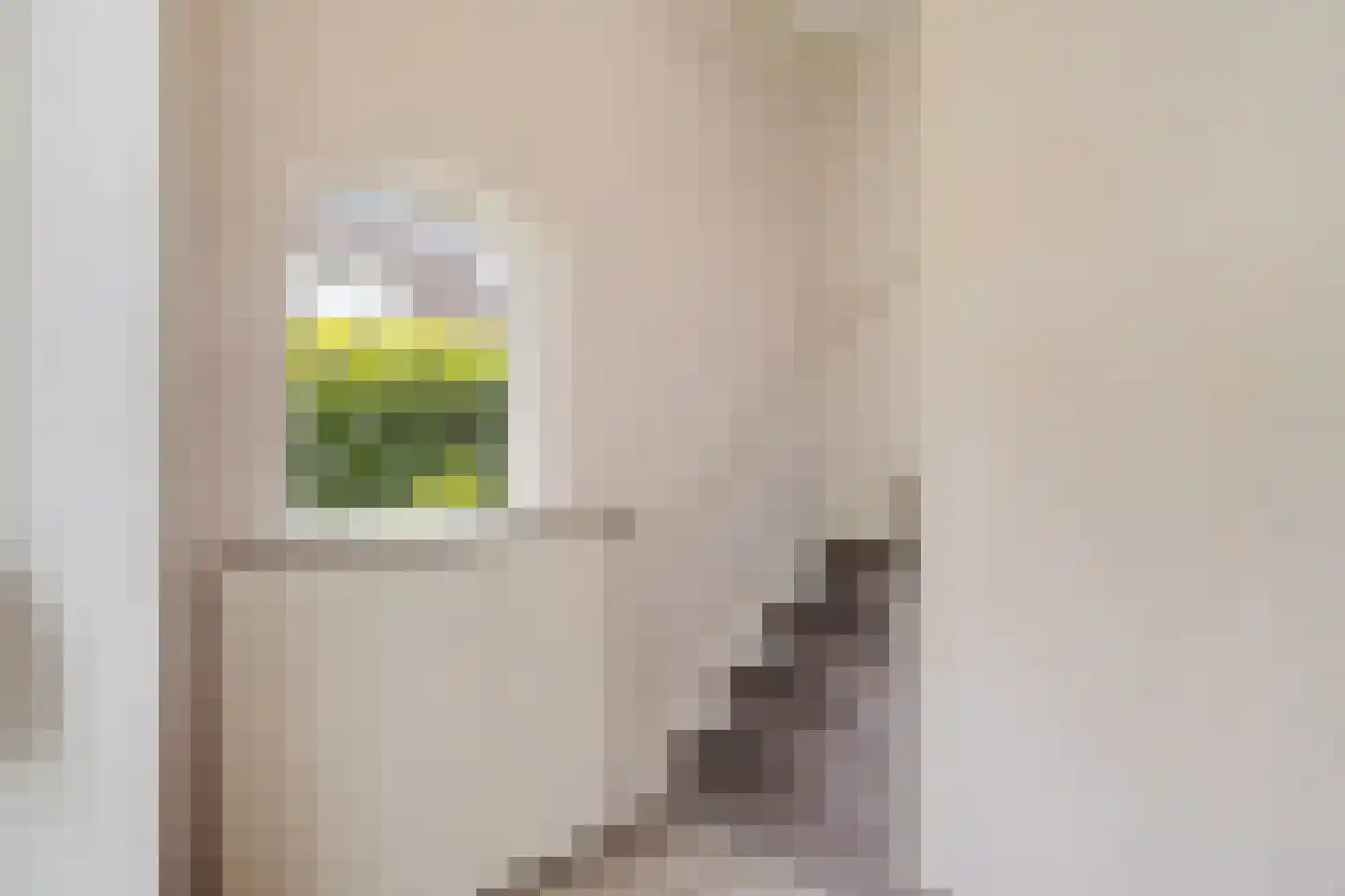 Westdorperstraat 4 Schoonloo thumbnail 10
