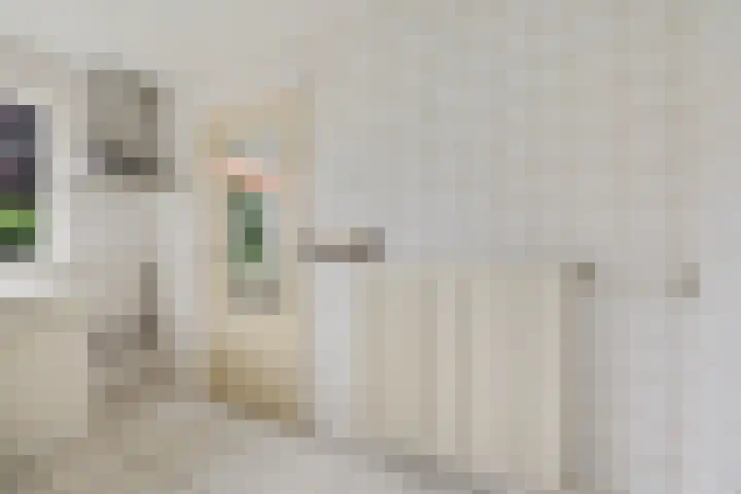 Westdorperstraat 4 Schoonloo thumbnail 19