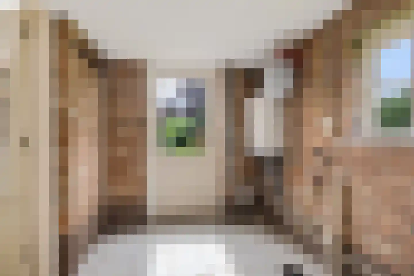 Westdorperstraat 4 Schoonloo thumbnail 20
