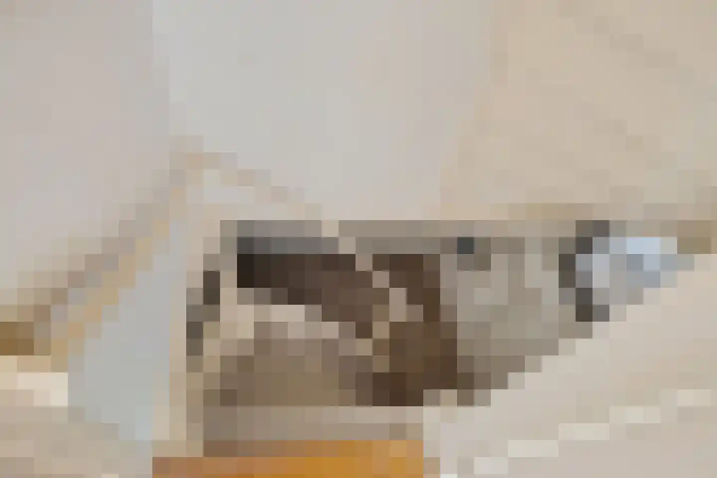Westdorperstraat 4 Schoonloo thumbnail 21