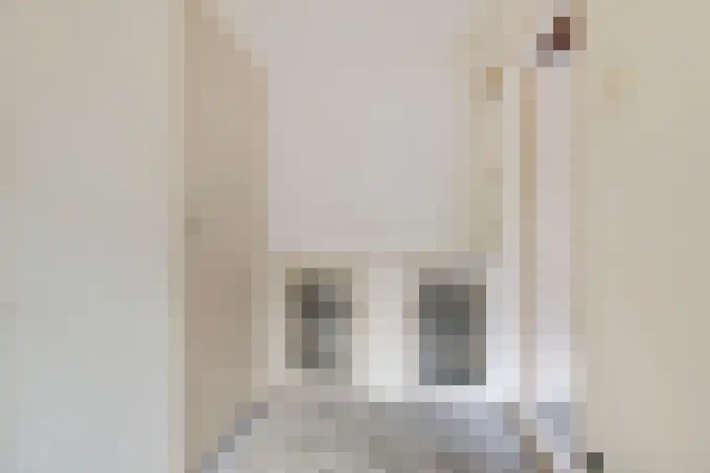 Westdorperstraat 4 Schoonloo thumbnail 23