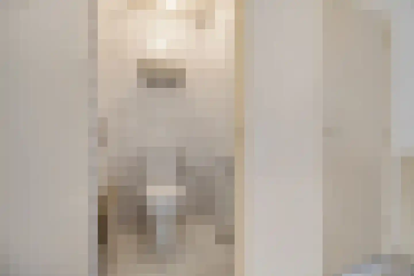 Westdorperstraat 4 Schoonloo thumbnail 24