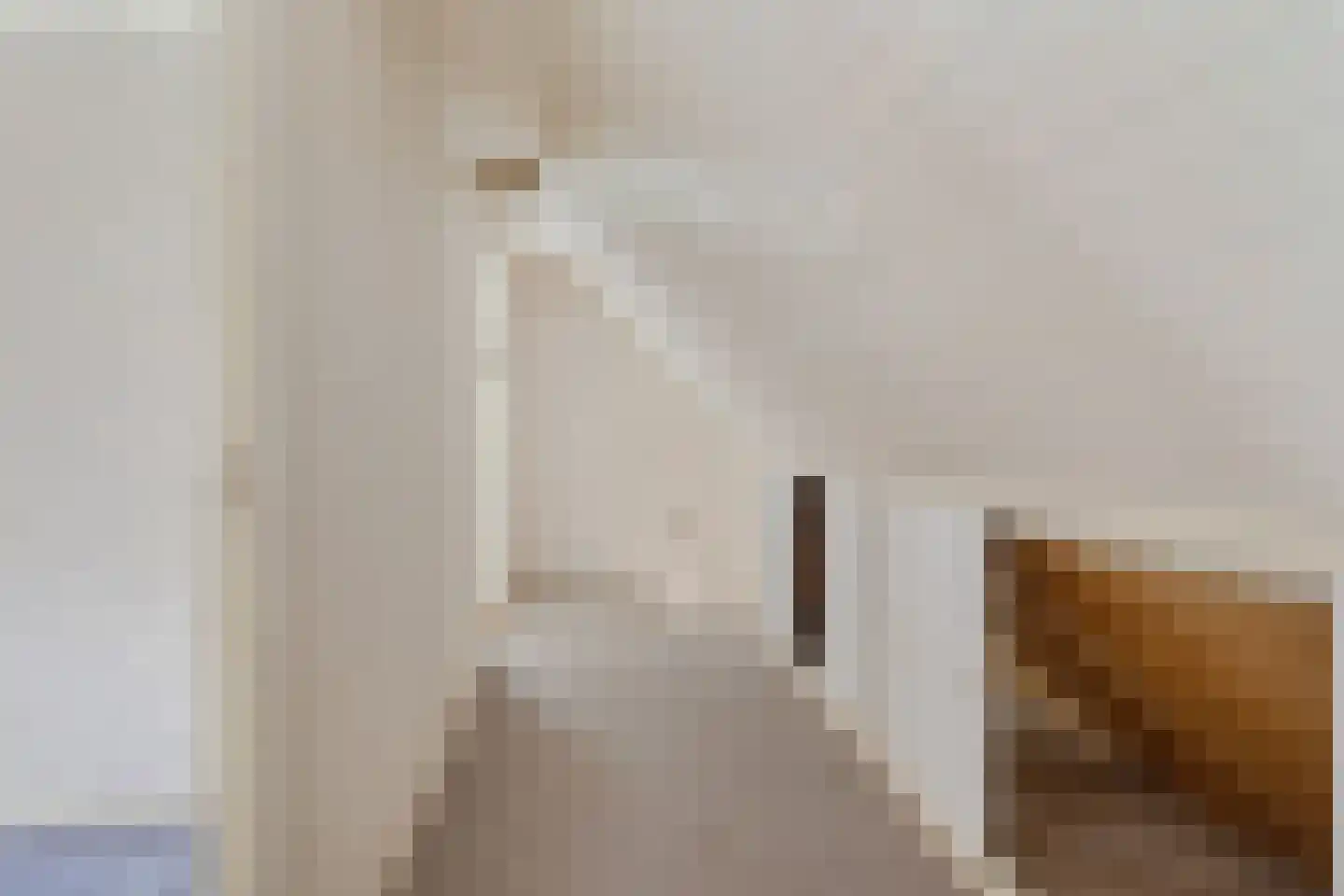 Westdorperstraat 4 Schoonloo thumbnail 27