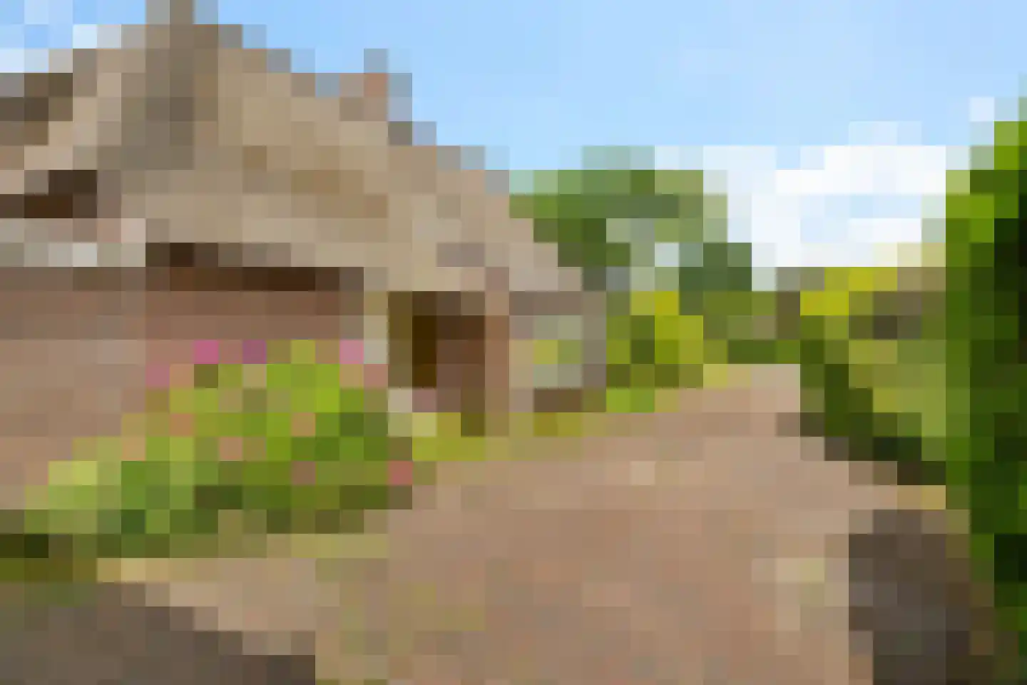 Westdorperstraat 4 Schoonloo thumbnail 38
