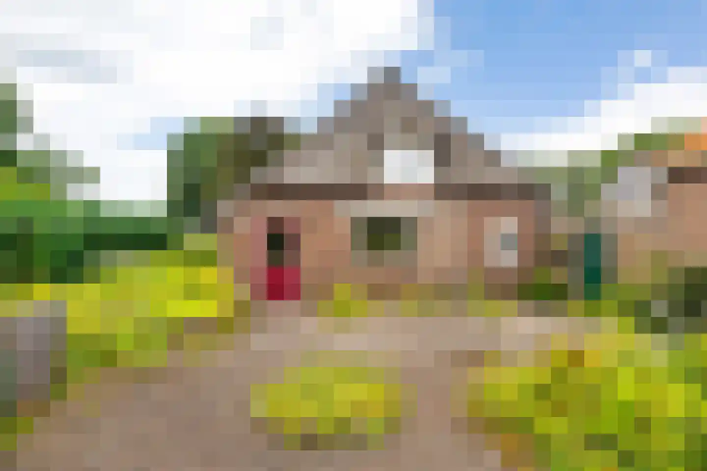 Westdorperstraat 4 Schoonloo thumbnail 40