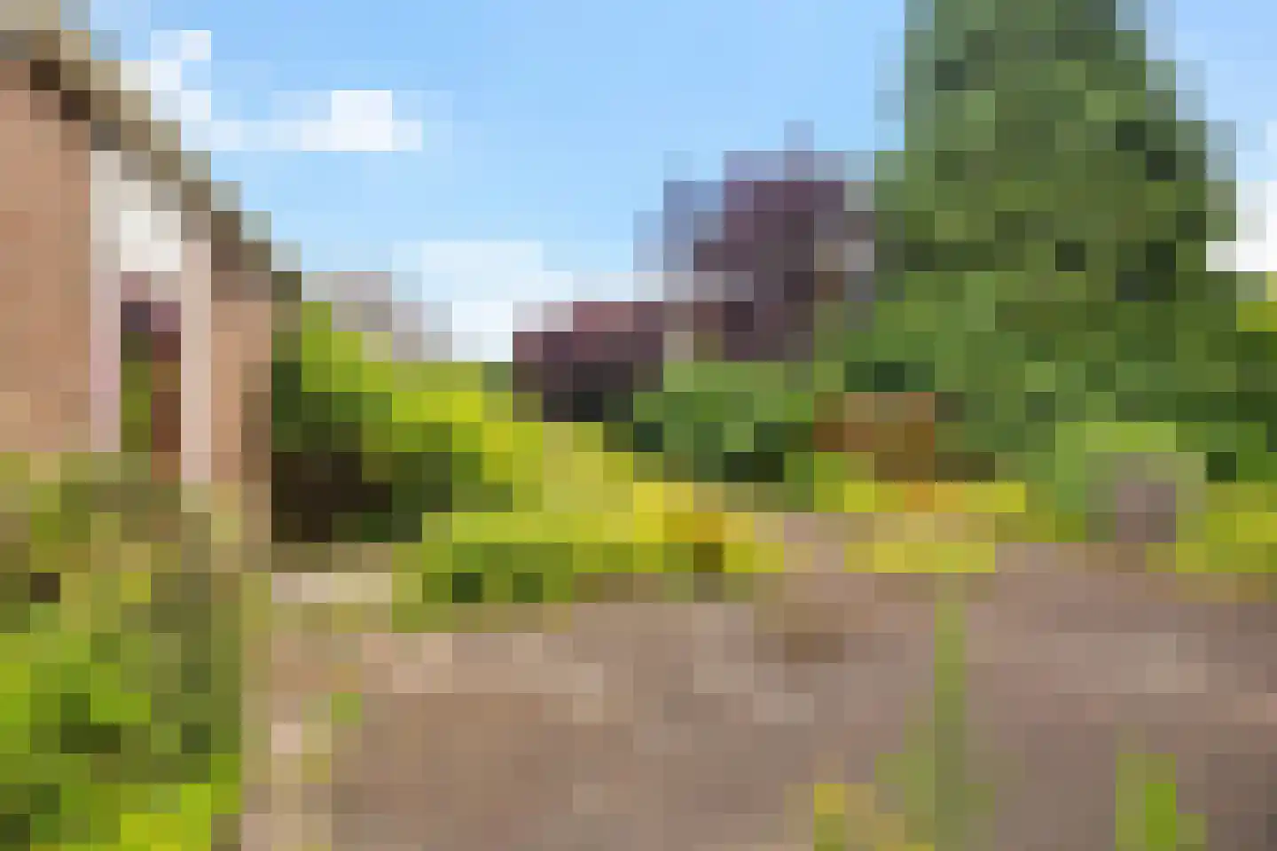 Westdorperstraat 4 Schoonloo thumbnail 42