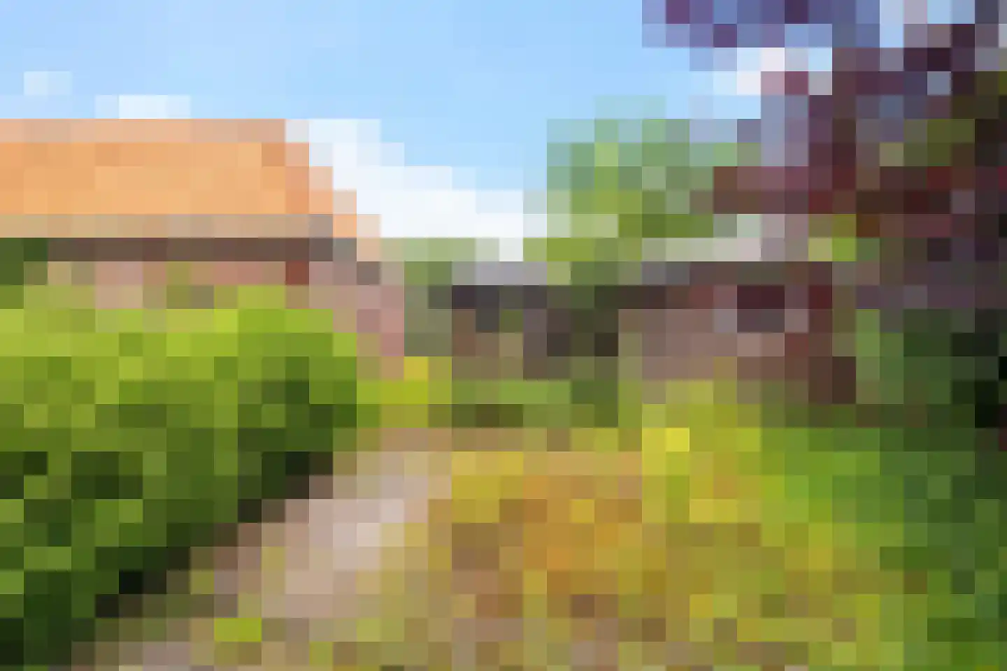 Westdorperstraat 4 Schoonloo thumbnail 43