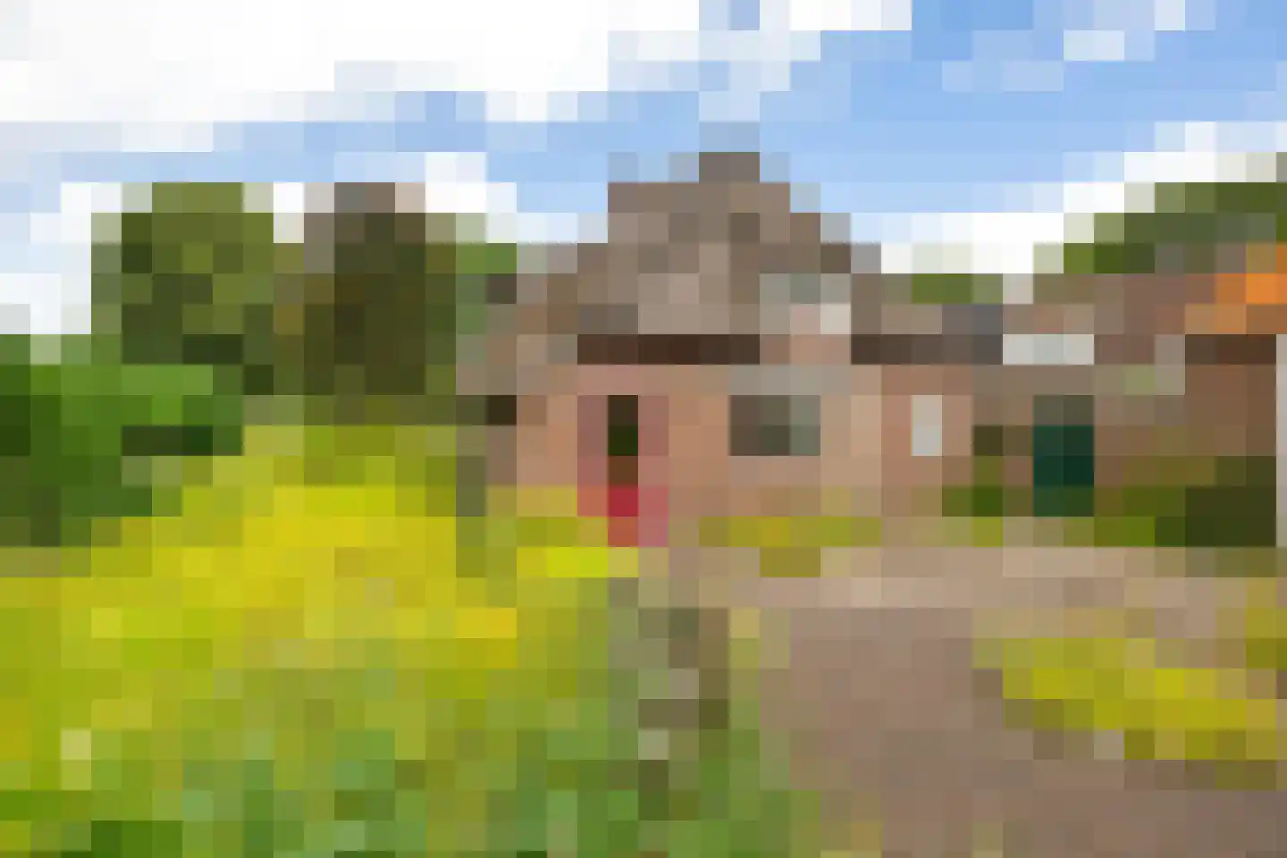 Westdorperstraat 4 Schoonloo thumbnail 44