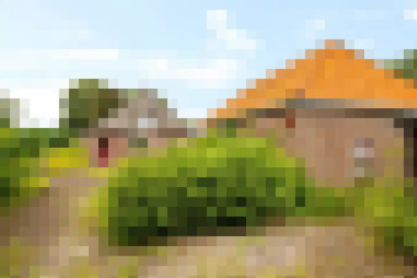 Westdorperstraat 4 Schoonloo thumbnail 45