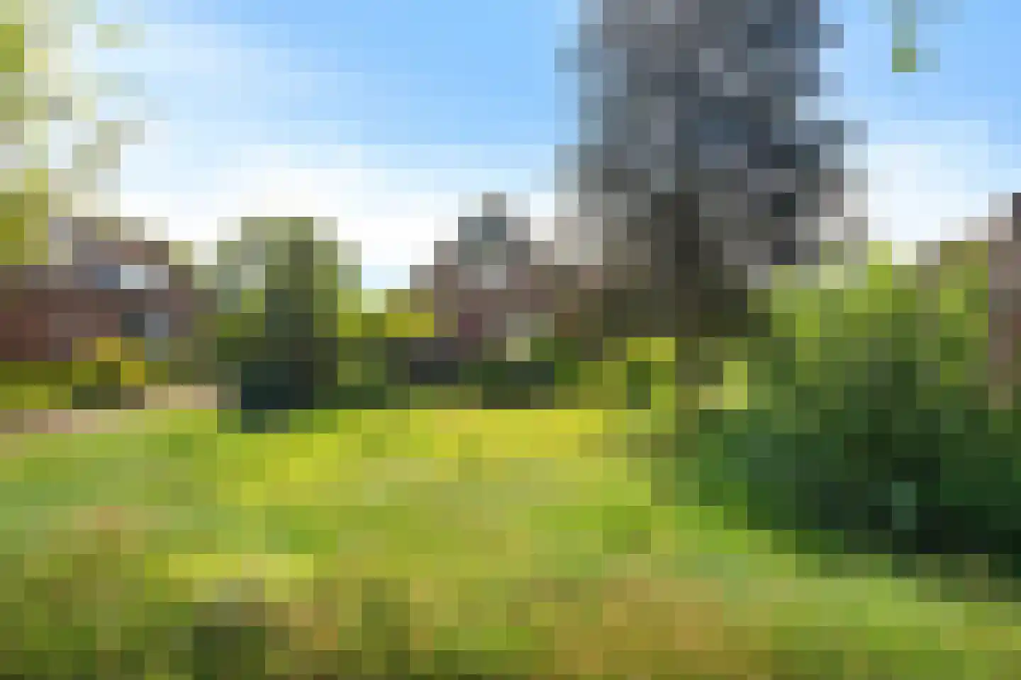 Westdorperstraat 4 Schoonloo thumbnail 51