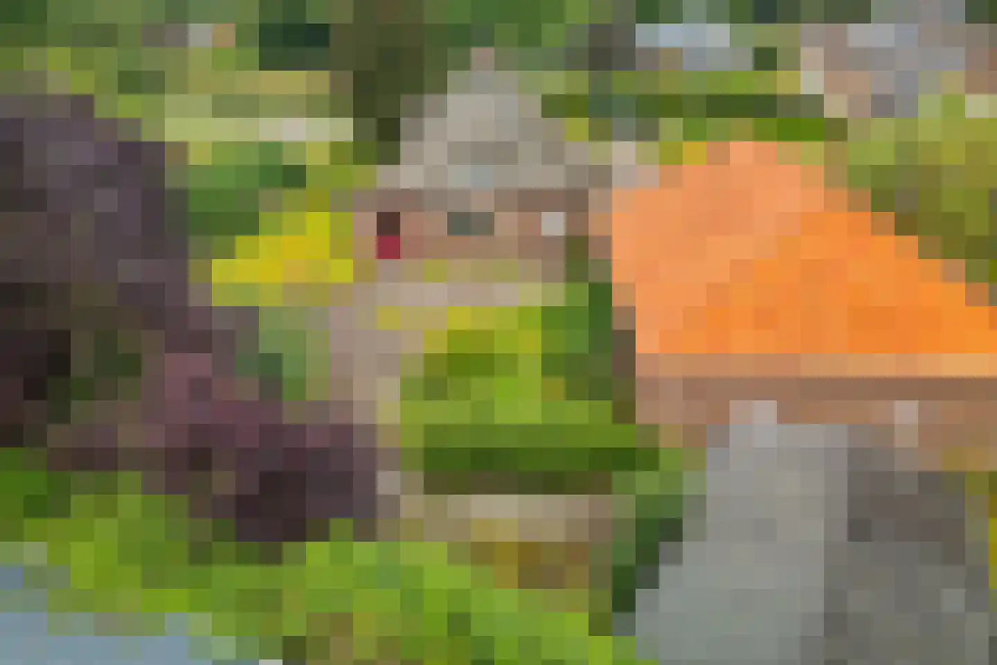 Westdorperstraat 4 Schoonloo thumbnail 7