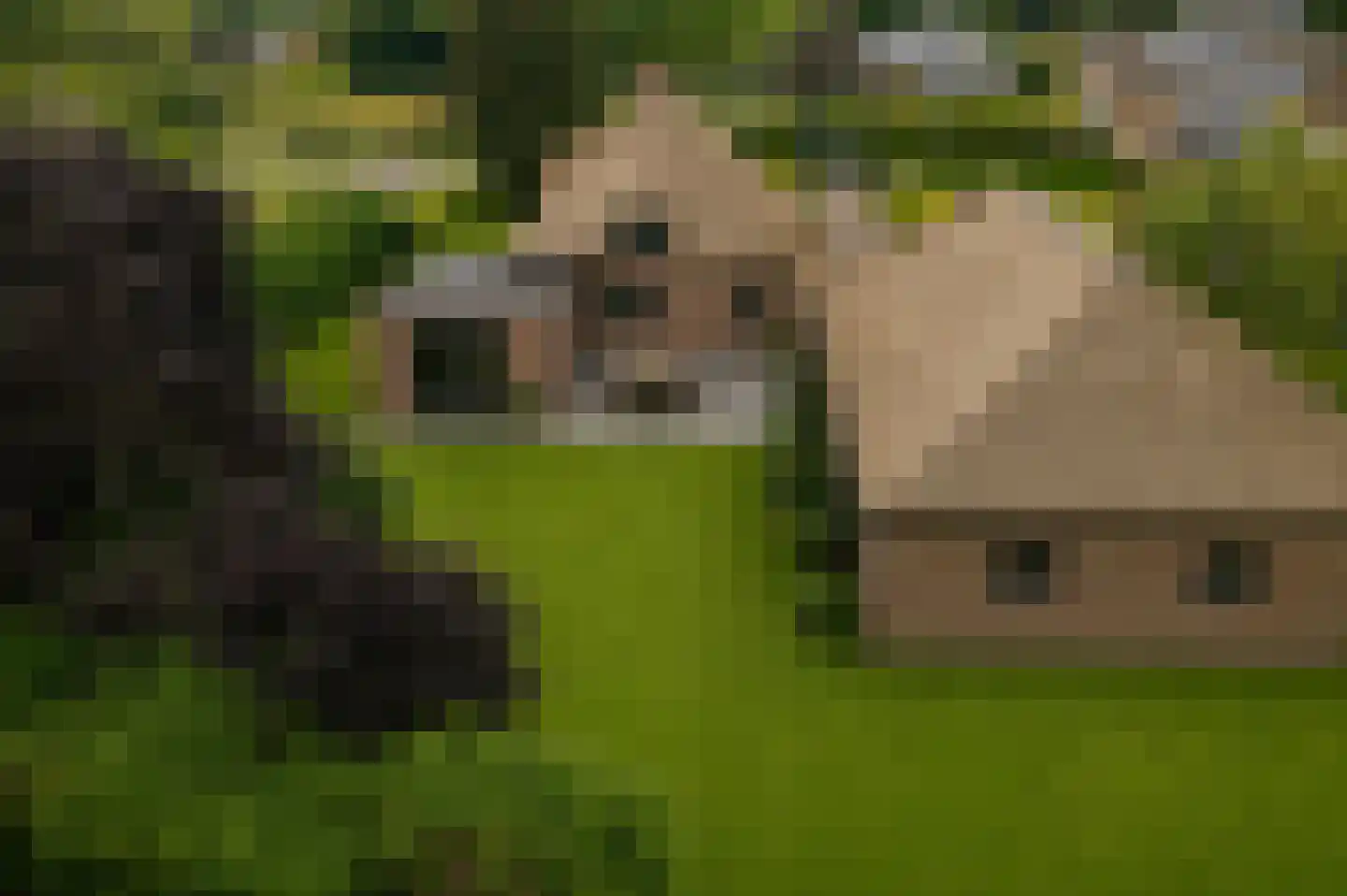 Westdorperstraat 4 Schoonloo thumbnail 8