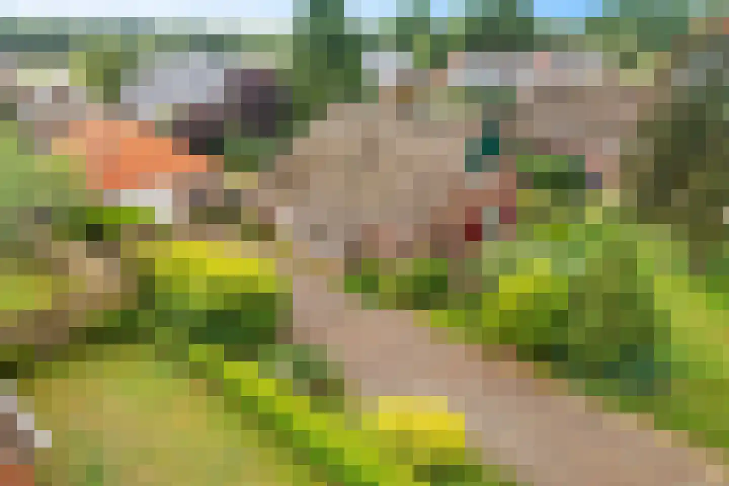 Westdorperstraat 4 Schoonloo thumbnail 9