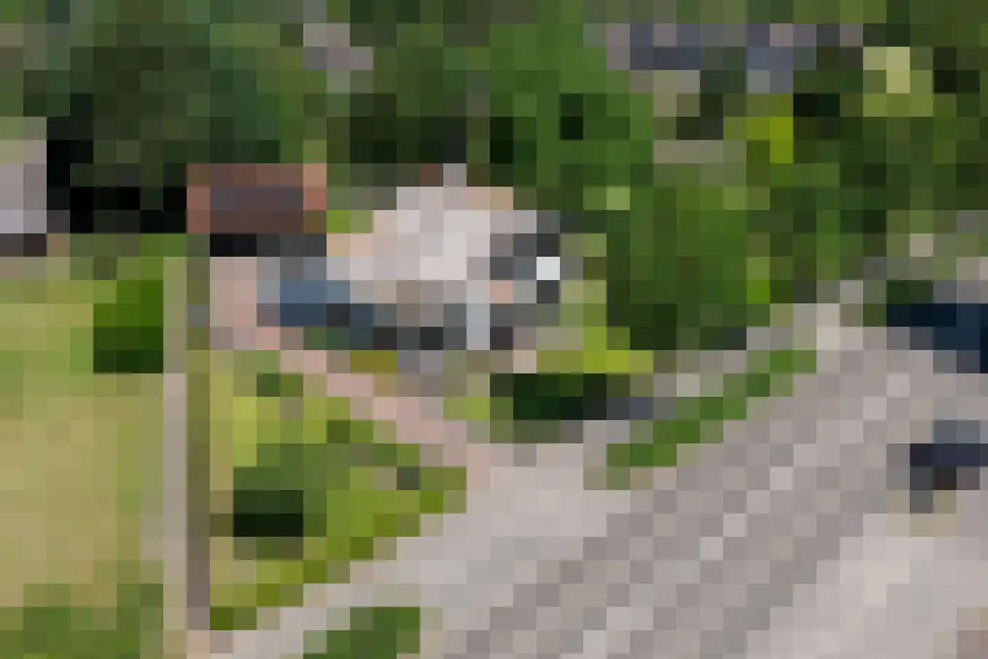 Westdorplaan 138 Raalte thumbnail 5