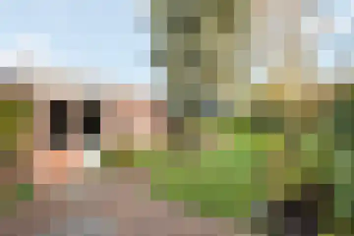 Westdorplaan 63 Raalte thumbnail 33