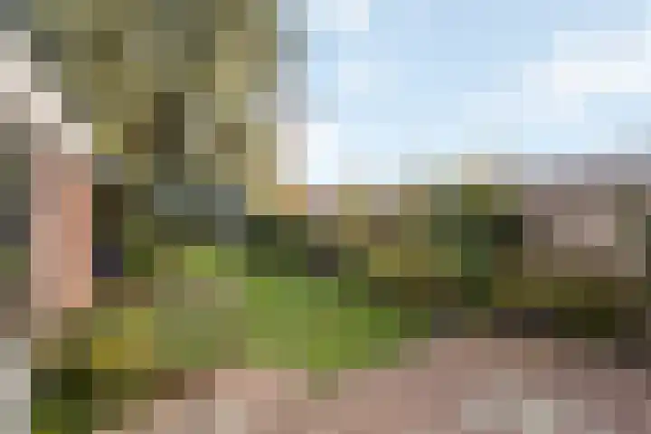 Westdorplaan 63 Raalte thumbnail 34