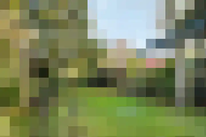 Westdorplaan 63 Raalte thumbnail 35