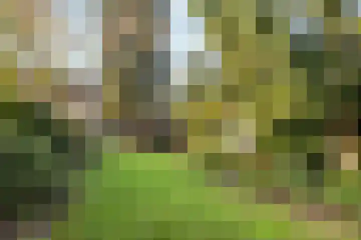 Westdorplaan 63 Raalte thumbnail 37
