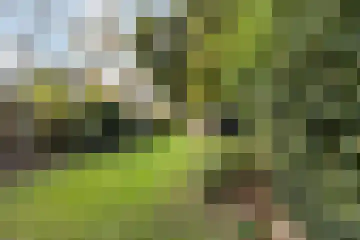 Westdorplaan 63 Raalte thumbnail 38