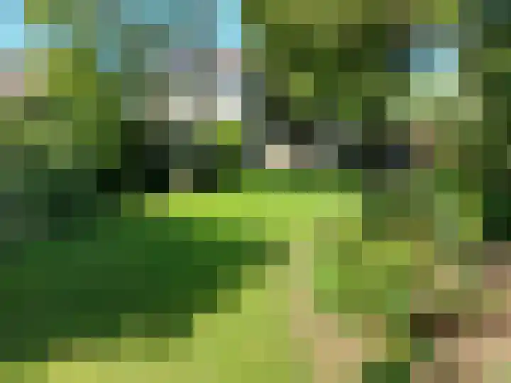 Westdorplaan 63 Raalte thumbnail 39