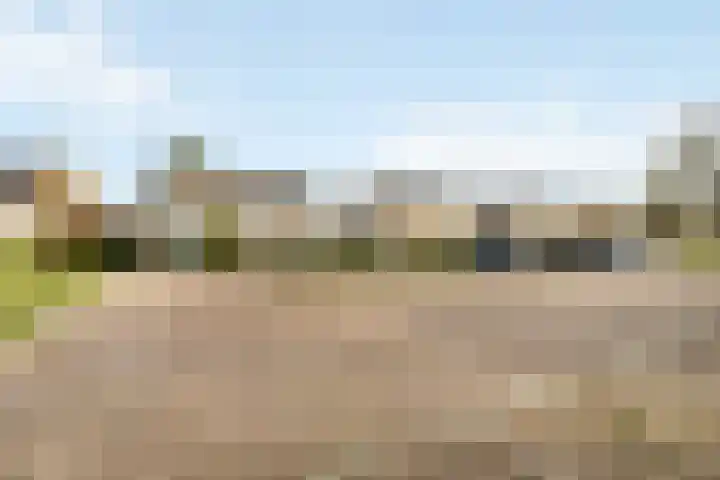 Westdorplaan 63 Raalte thumbnail 4