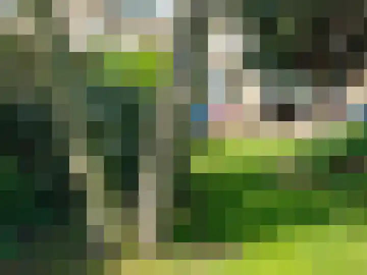 Westdorplaan 63 Raalte thumbnail 43