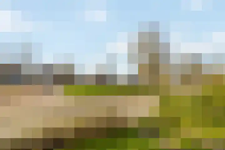 Westdorplaan 63 Raalte thumbnail 5