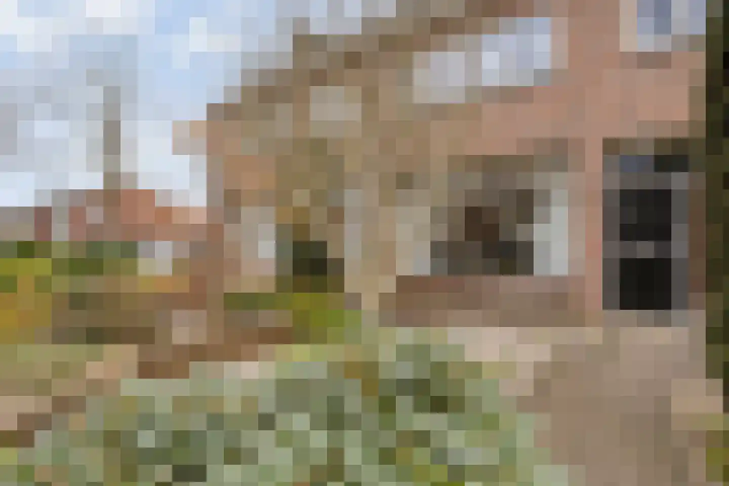 Westdorplaan 86 Raalte thumbnail 8