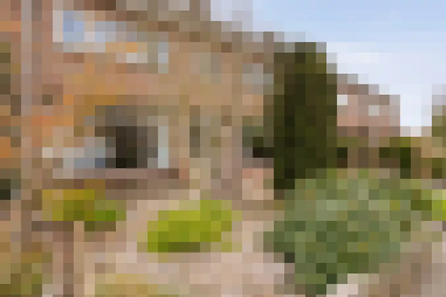 Westdorplaan 86 Raalte thumbnail 9