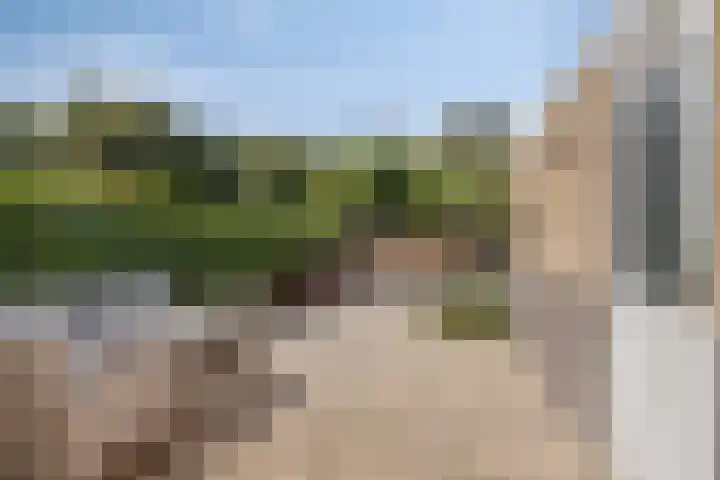 Westduinen 28 Amstelveen thumbnail 17