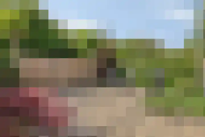 Westduinen 28 Amstelveen thumbnail 18