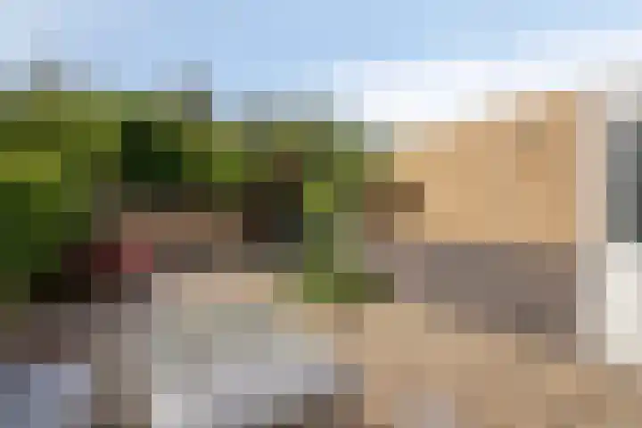Westduinen 28 Amstelveen thumbnail 19