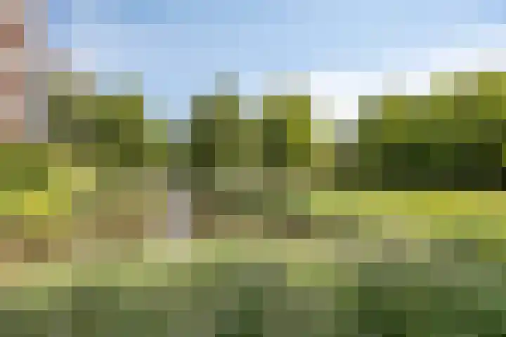 Westduinen 28 Amstelveen thumbnail 40