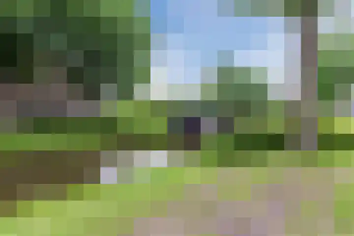 Westduinen 3 Amstelveen thumbnail 45